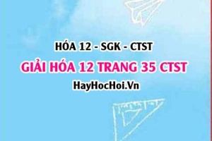 Giải Hóa 12 trang 35 Chân trời sáng tạo SGK